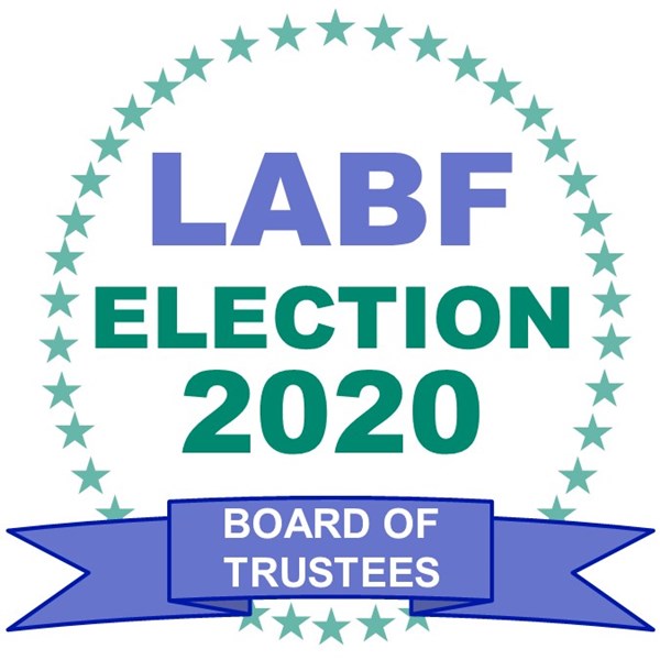 2020_Election_Logo