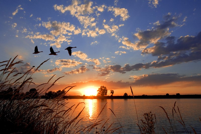 Retirement.Sunset
